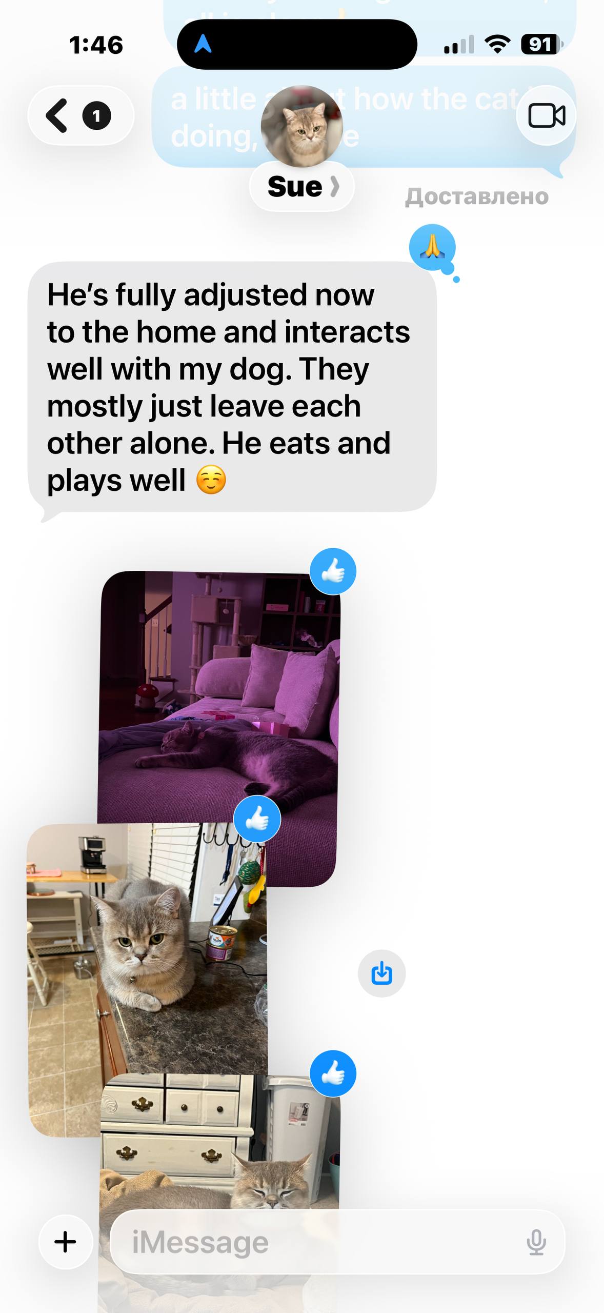 photo_2026-03-02_13-54-31