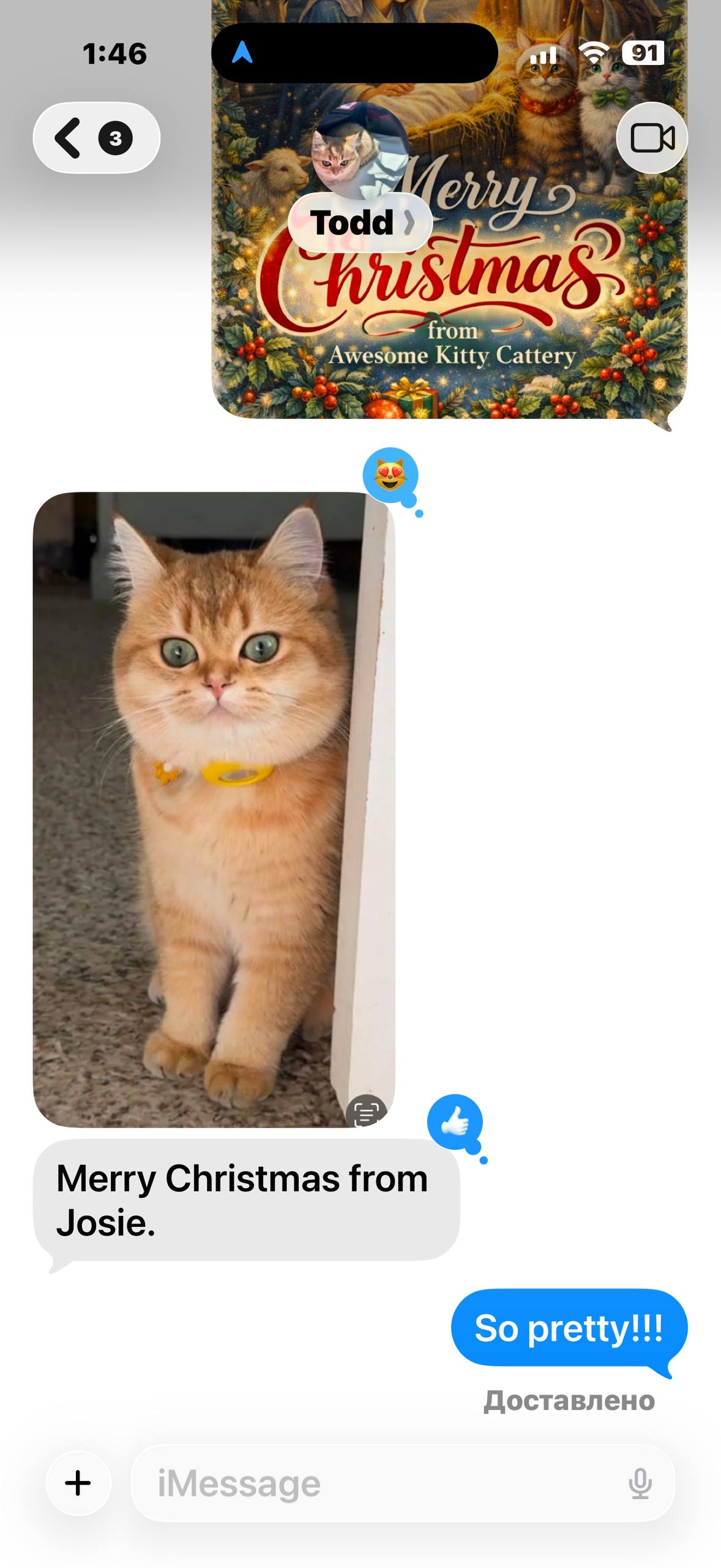 photo_2026-03-02_13-55-01