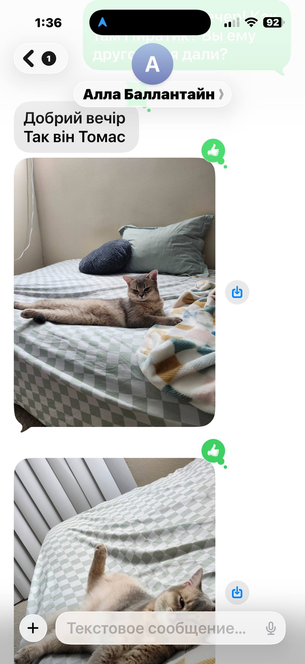 photo_2026-03-02_13-55-12