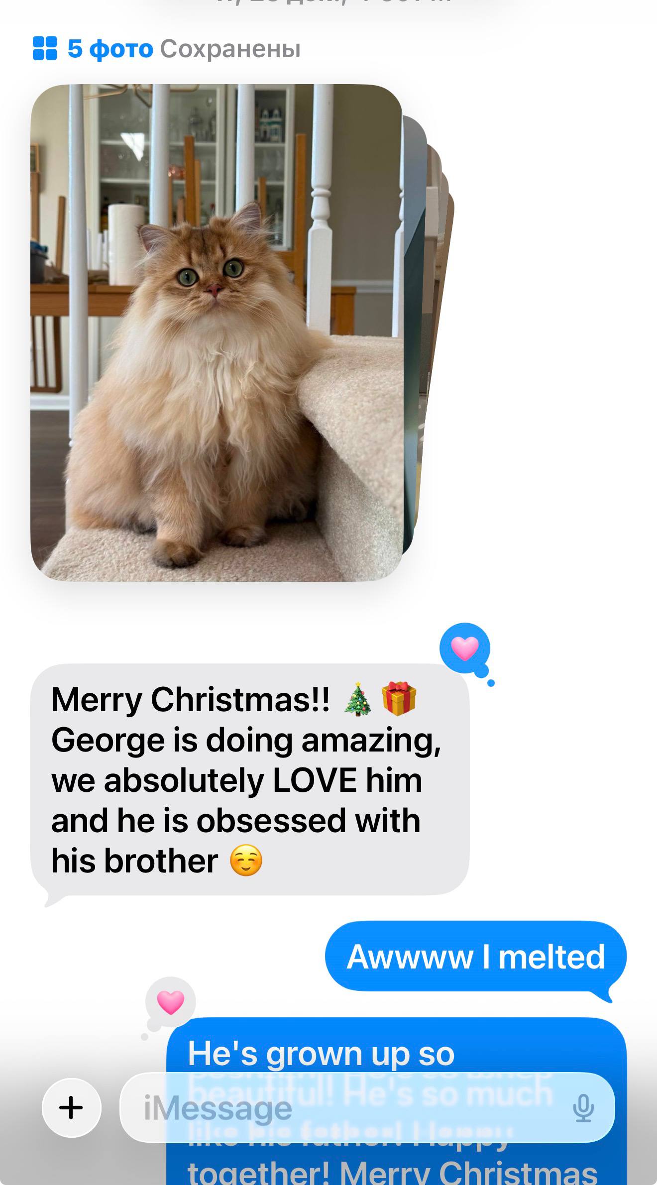 photo_2026-03-02_13-55-15