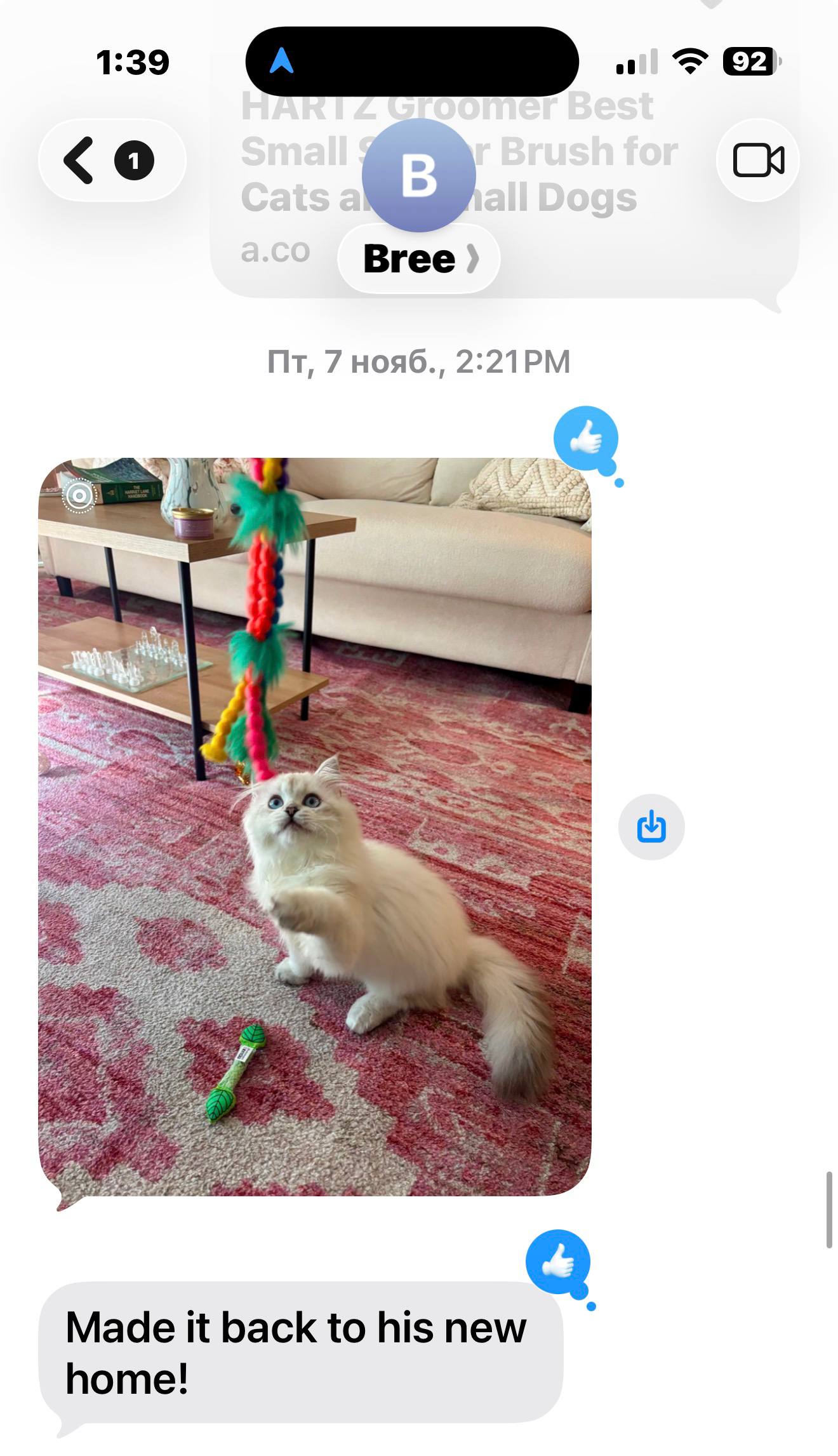 photo_2026-03-02_13-55-21